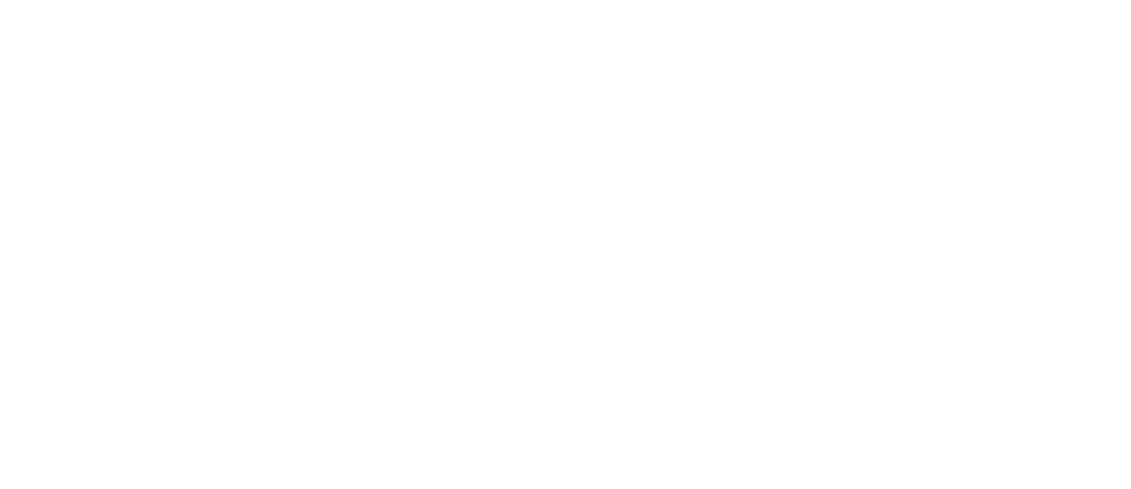 Infleet_Logo_White