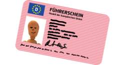 die elektronische fuehrerscheinkontrolle die fahrer und fuehrerscheinkontrolle automatisch durchfuehren