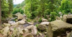 GPS Ortung bei Brocken Wanderung